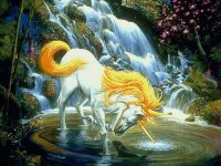 Unicorn and WaterFall